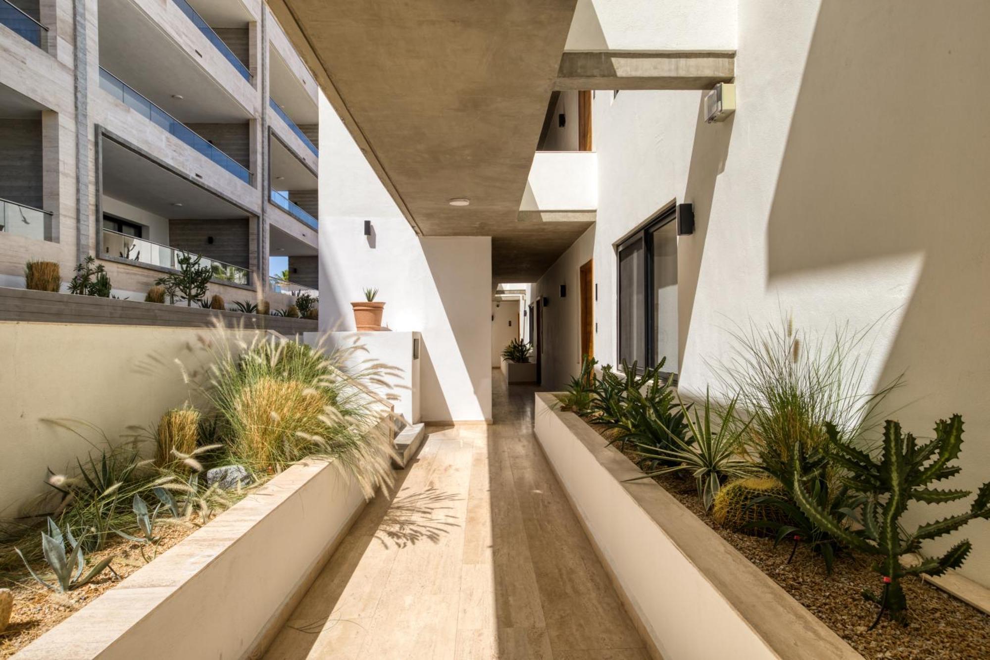 Apartmán Marella Cabo San José del Cabo Exteriér fotografie